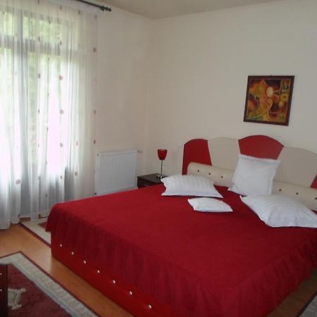 Pensiunea Speranta Hotel Sovata Buitenkant foto