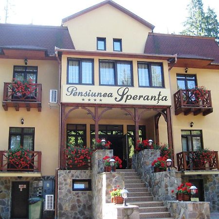 Pensiunea Speranta Hotel Sovata Buitenkant foto