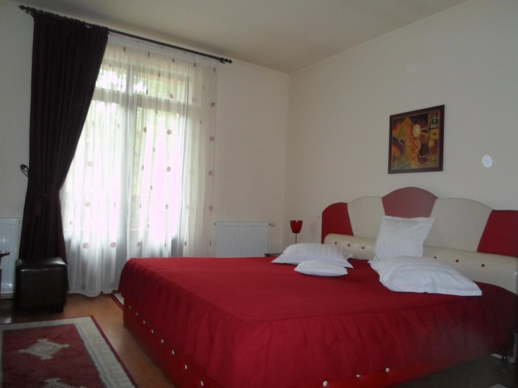 Pensiunea Speranta Hotel Sovata Buitenkant foto