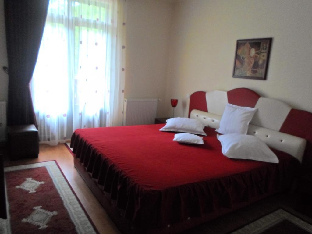 Pensiunea Speranta Hotel Sovata Buitenkant foto