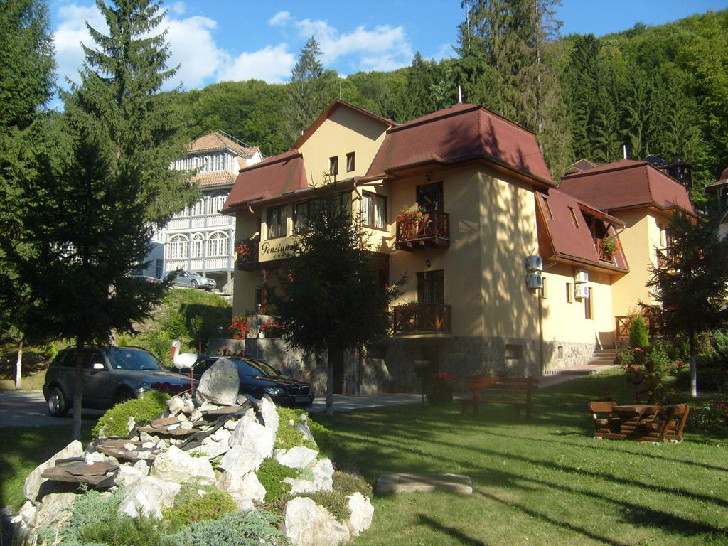Pensiunea Speranta Hotel Sovata Buitenkant foto
